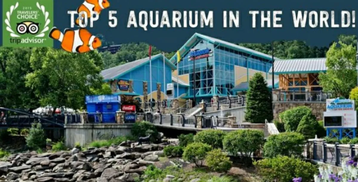 This image features the vibrant exterior of Ripley's Aquarium with its distinctive signage, rocky landscaping, and families entering the building. The scene conveys a sense of excitement and adventure, showing visitors ready to explore the nearby family-friendly attraction.